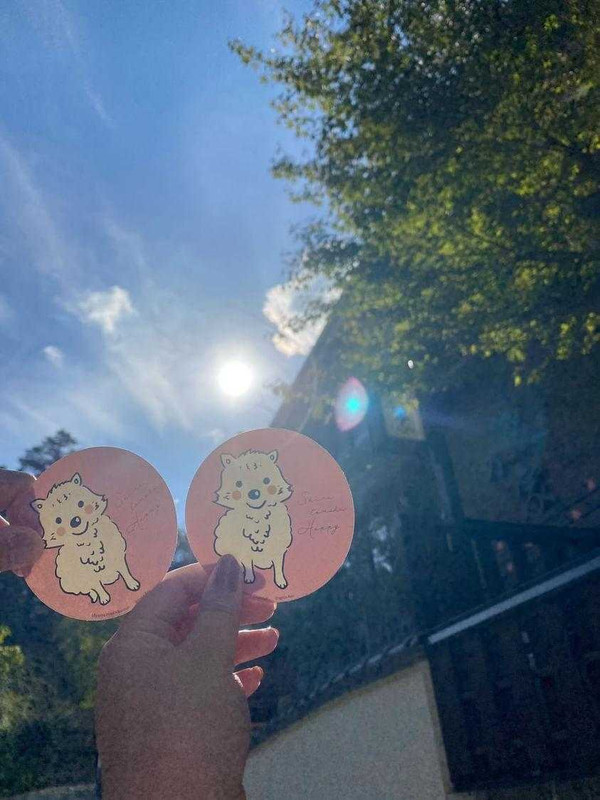 191024yuuさんの写真 / 4