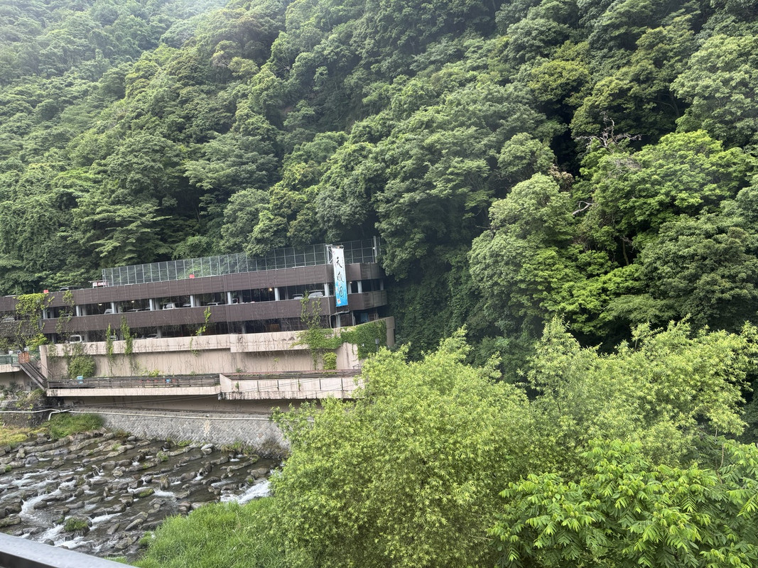 部屋からは川も見えるが木が邪魔