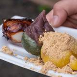 一休（ヒトヤスミ）