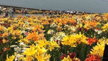 施設からの眺望 / 18