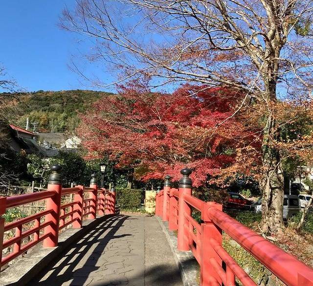 修善寺の癒しスポット
「竹林の小径」を歩く / 1