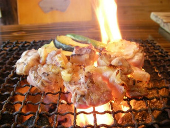 地元宮崎で味わう新鮮な地鶏48726