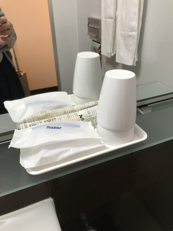 写す手が写ってしまっていますが、フロントで貰ってきたものなど