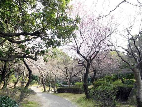 広島サンプラザ / 5