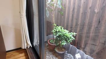 テラス / パティオ / 25