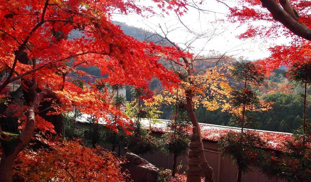 客室の眺望一例／秋 / 5