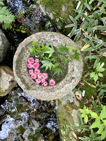 一条恵観山荘3738512