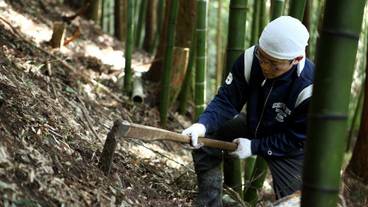 施設の敷地 / 21