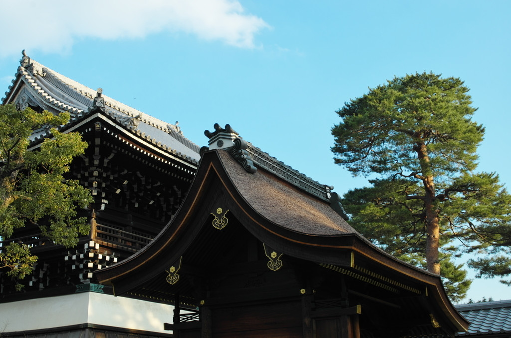 相国寺　【今出川・北大路・北野】1021883