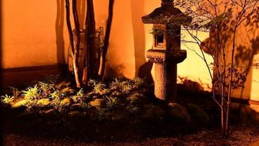 ガーデン ビュー / 12