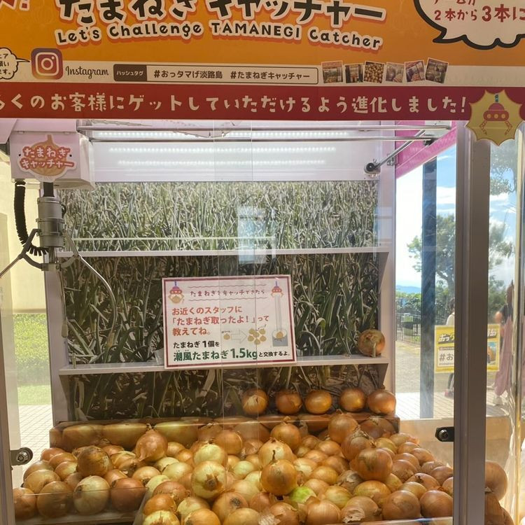 うずの丘大鳴門橋記念館の「たまねぎキャッチャー」 / 2