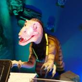 変なリゾート＆スパ 関西空港（大阪府 ビジネスホテル） / 3