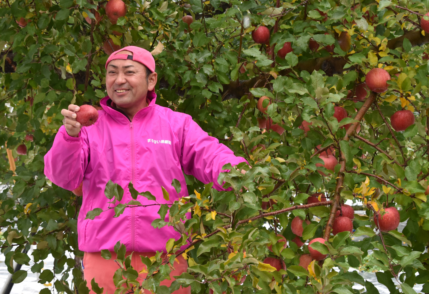 2. 新鮮なフルーツ狩り&夢みたいなパフェにうっとり♡「まるせい果樹園」2017037