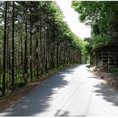 猪ノ田温泉 絹の湯 久惠屋旅館（ひさえや）（群馬県 旅館） / 5