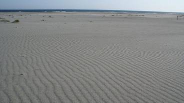 観光スポット / 6