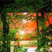 湯布院温泉 ひすいの宿 黎明（れいめい）（大分県 旅館） / 4