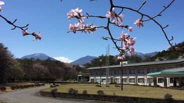 マウンテン ビュー / 14