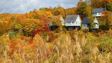 施設の敷地 / 15