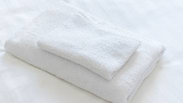 客室の設備とサービス / 15