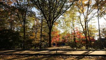 施設からの眺望 / 18