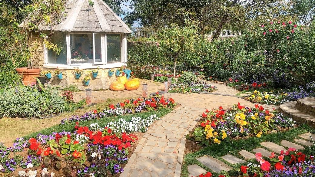 絶景とバラにうっとり
海を望むローズガーデン / 3