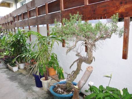 1日1組限定の宿 ゆくいる / 5