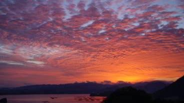 施設からの眺望 / 20