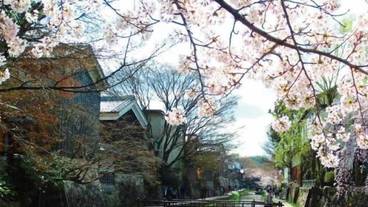 施設の敷地 / 15