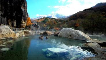 施設の敷地 / 12