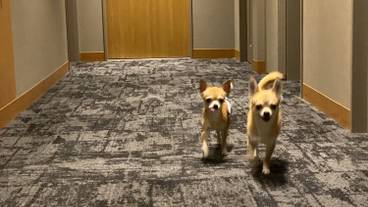 施設の敷地 / 15