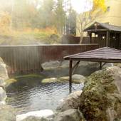 ニセコアンヌプリ温泉 湯心亭（ゆごころてい）（北海道 旅館） / 4