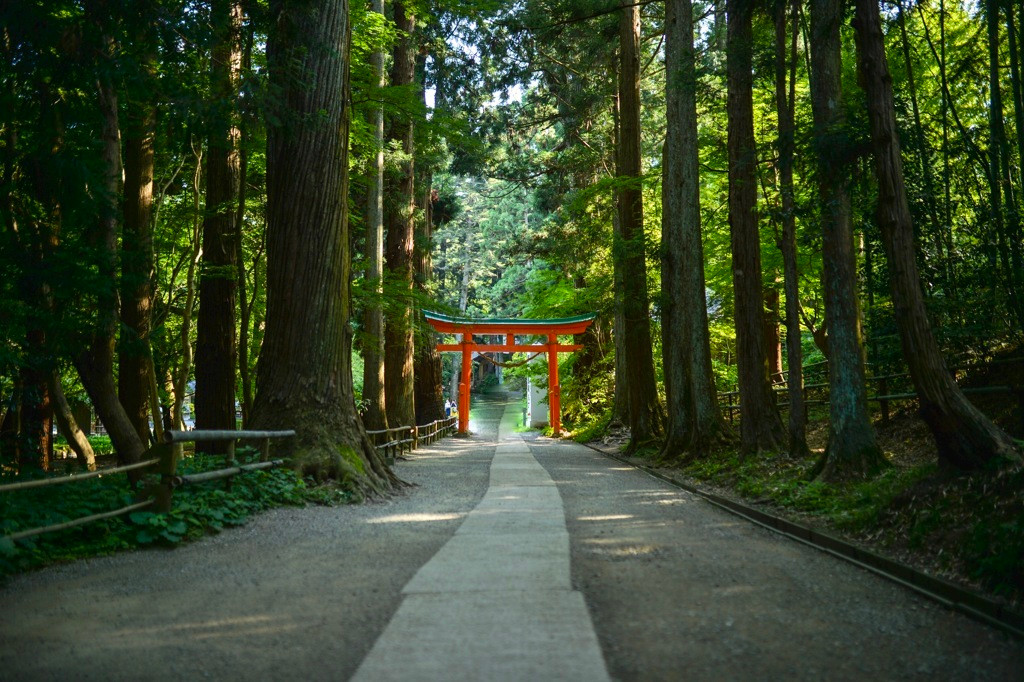 都会の喧騒を忘れて、ゆったりと時の流れに身を任せたい4083702