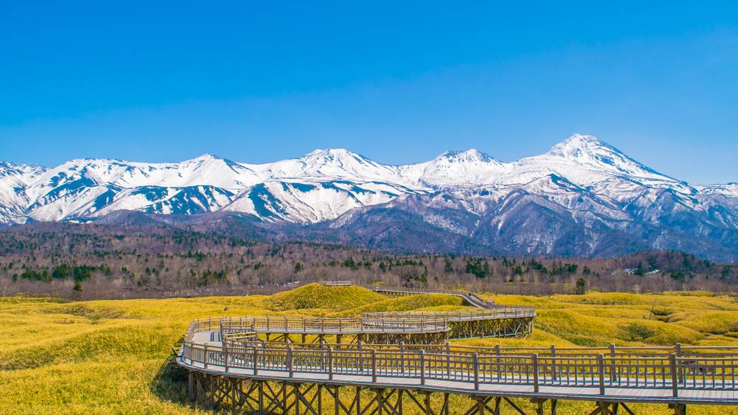 知床五湖 高架木道 / 2