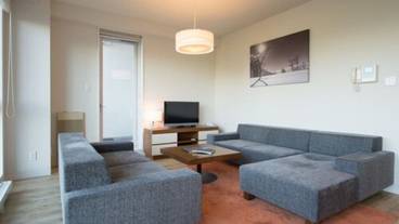 リビング エリア / 15