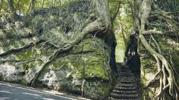 施設からの眺望 / 12