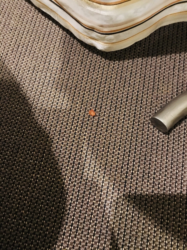 変えてもらった部屋に落ちていたあられのかけら