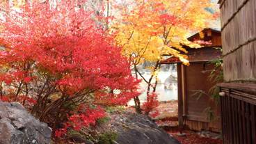 施設内の設備 / 11