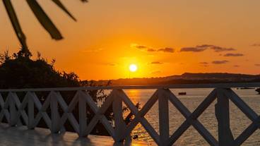 テラス / パティオ / 9