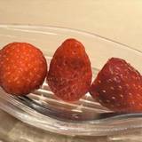 寿司 銀座（スシギンザ）