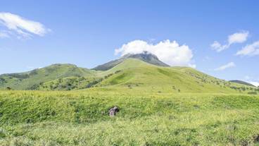 ランド ビュー / 13