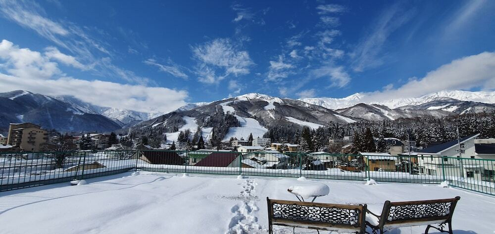 テラス / パティオ