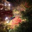 せせらぎの宿 弥仙館
