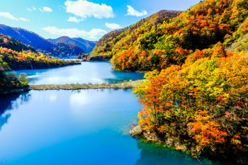 Shimagawa Dam in autumn leaves