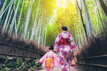 Traveler in Bamboo Forest Grove, Kyoto, Japan