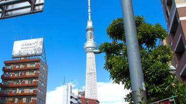 観光スポット / 3