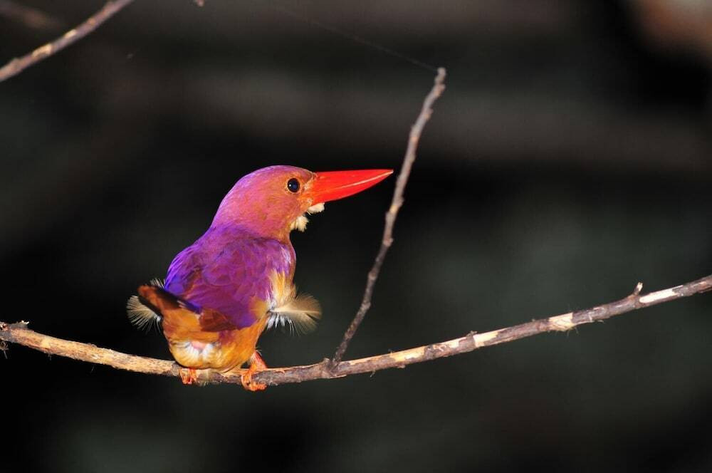 フィットネス設備