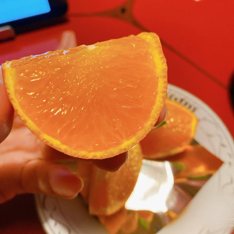 icotto_onatsu0525さんの写真 / 4
