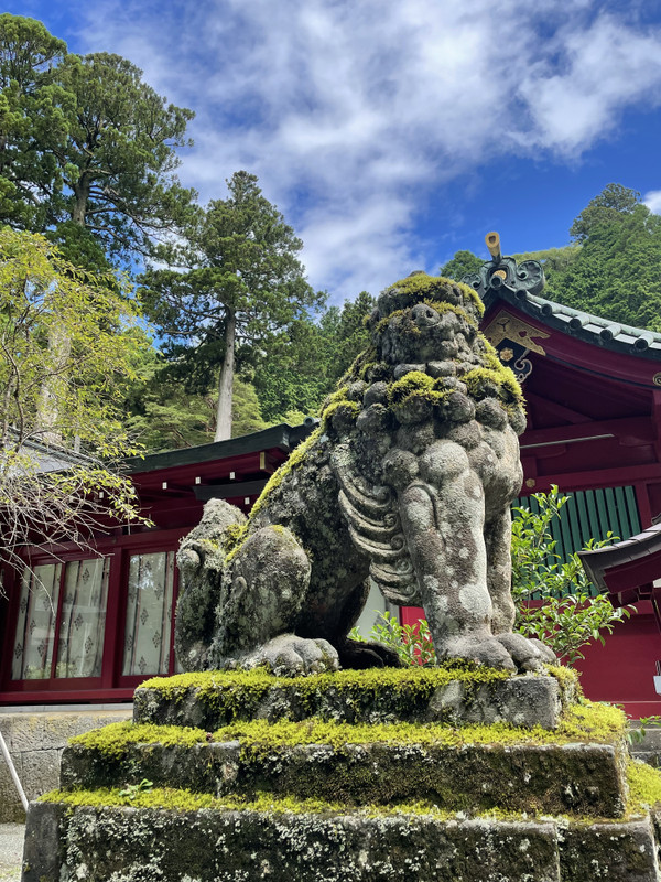 yuriyurimonemoneさんの写真 / 2