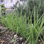 ぬちぐすいハウス（NUCHIGUSUI-HOUSE）（沖縄県 コテージ・ロッジ・一棟貸） / 3