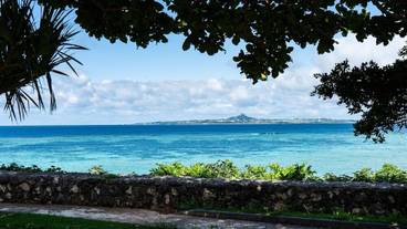 ランド ビュー / 5